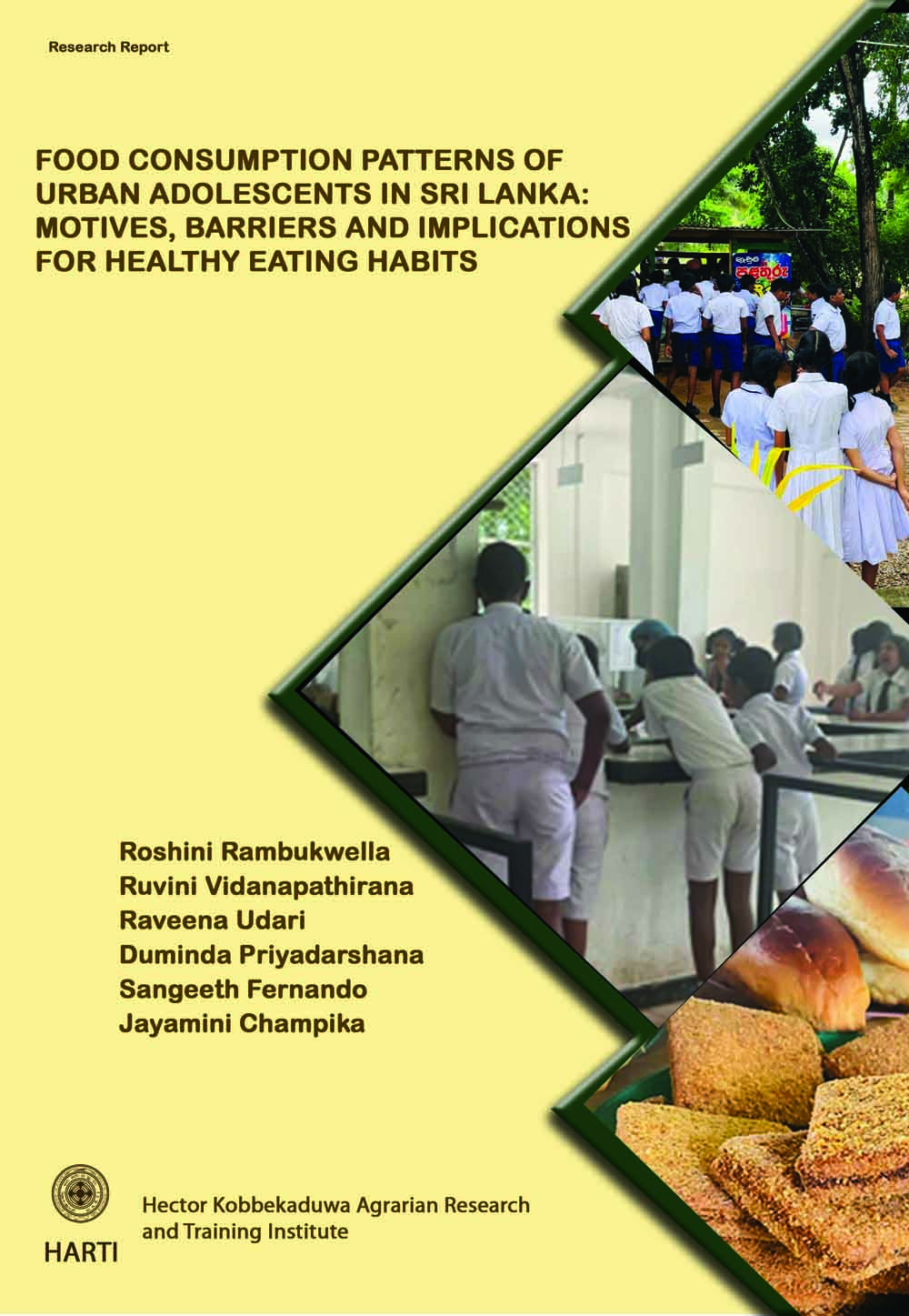 Publication Image